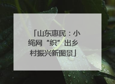 山东惠民：小绳网“织”出乡村振兴新图景
