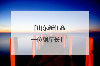 山东新任命一位副厅长