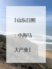 山东日照：小海马 大产业