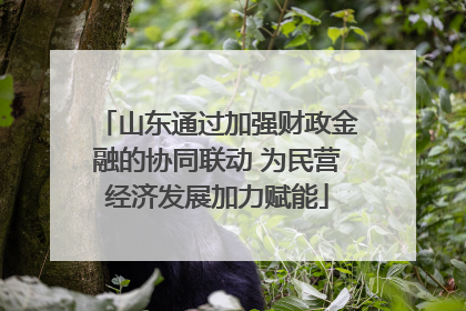 山东通过加强财政金融的协同联动 为民营经济发展加力赋能