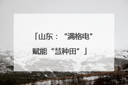 山东：“满格电”赋能“慧种田”