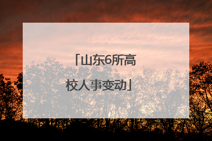 山东6所高校人事变动