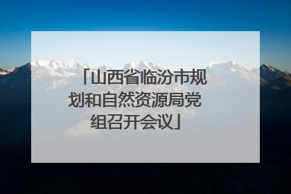 山西省临汾市规划和自然资源局党组召开会议