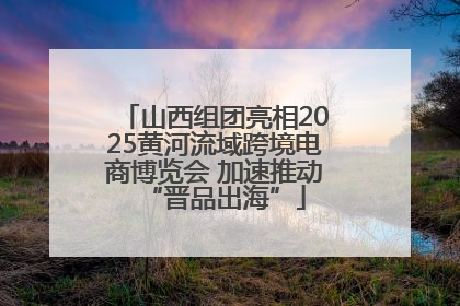 山西组团亮相2025黄河流域跨境电商博览会 加速推动“晋品出海”