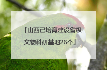 山西已培育建设省级文物科研基地26个