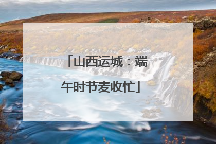 山西运城：端午时节麦收忙