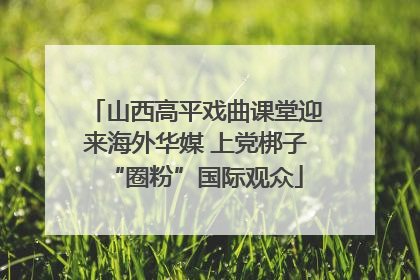 山西高平戏曲课堂迎来海外华媒 上党梆子“圈粉”国际观众
