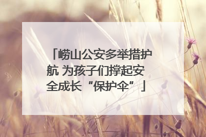 崂山公安多举措护航 为孩子们撑起安全成长“保护伞”