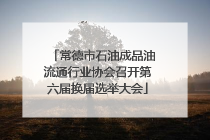 常德市石油成品油流通行业协会召开第六届换届选举大会