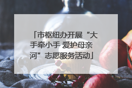 市枢纽办开展“大手牵小手 爱护母亲河”志愿服务活动