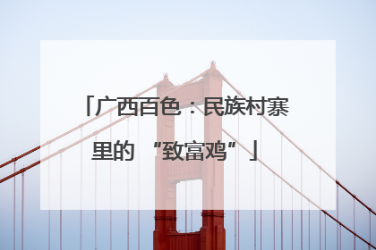 广西百色：民族村寨里的 “致富鸡”