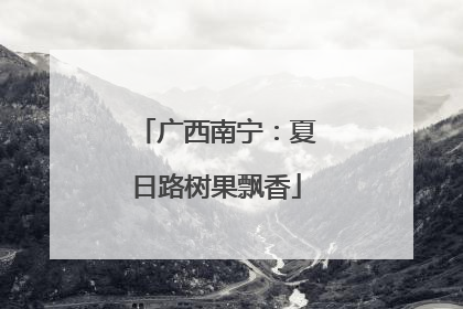 广西南宁：夏日路树果飘香