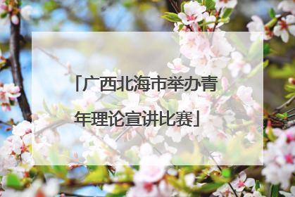 广西北海市举办青年理论宣讲比赛