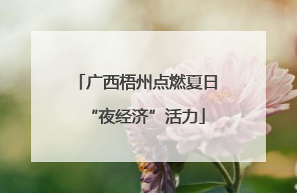 广西梧州点燃夏日“夜经济”活力