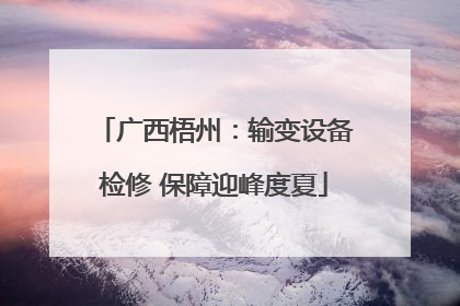 广西梧州：输变设备检修 保障迎峰度夏
