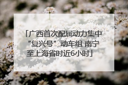广西首次配属动力集中“复兴号”动车组 南宁至上海省时近6小时