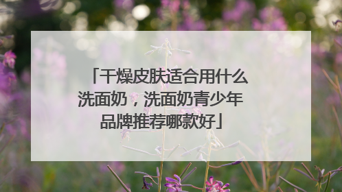 干燥皮肤适合用什么洗面奶，洗面奶青少年品牌推荐哪款好
