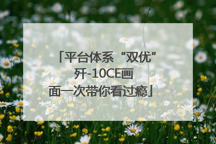 平台体系“双优”  歼-10CE画面一次带你看过瘾