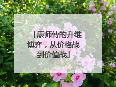 康师傅的升维博弈，从价格战到价值战