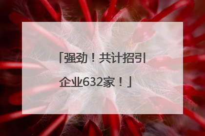 强劲！共计招引企业632家！