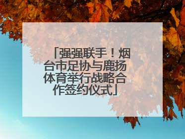 强强联手！烟台市足协与鹿扬体育举行战略合作签约仪式