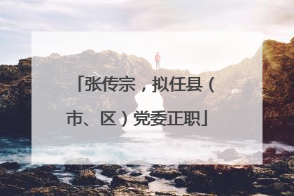 张传宗，拟任县（市、区）党委正职