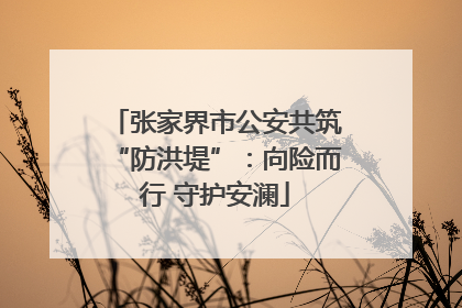 张家界市公安共筑“防洪堤”：向险而行 守护安澜