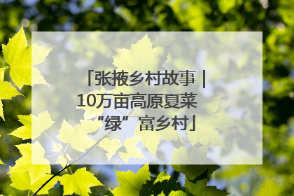 张掖乡村故事｜10万亩高原夏菜“绿”富乡村