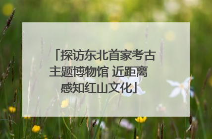 探访东北首家考古主题博物馆 近距离感知红山文化