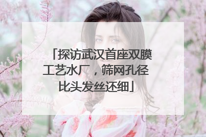 探访武汉首座双膜工艺水厂，筛网孔径比头发丝还细