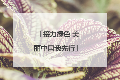 接力绿色 美丽中国我先行