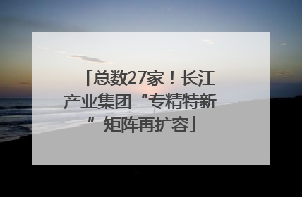 总数27家！长江产业集团“专精特新”矩阵再扩容