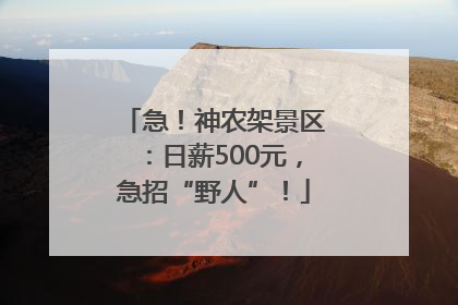 急！神农架景区：日薪500元，急招“野人”！