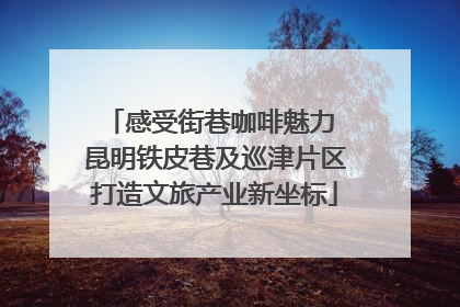 感受街巷咖啡魅力 昆明铁皮巷及巡津片区打造文旅产业新坐标