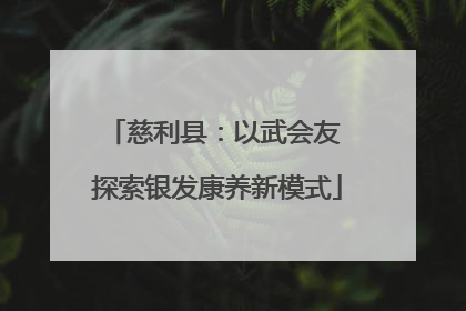 慈利县：以武会友 探索银发康养新模式