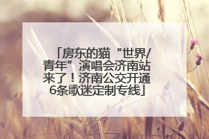 房东的猫“世界/青年”演唱会济南站来了！济南公交开通6条歌迷定制专线