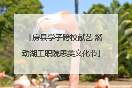 房县学子跨校献艺 燃动湖工职院思美文化节