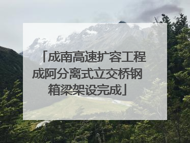 成南高速扩容工程成阿分离式立交桥钢箱梁架设完成