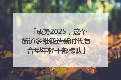 成势2025，这个街道多维锻造新时代复合型年轻干部梯队