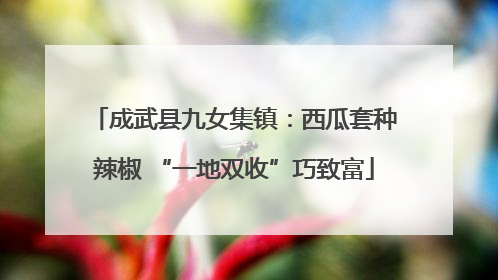 成武县九女集镇：西瓜套种辣椒 “一地双收”巧致富