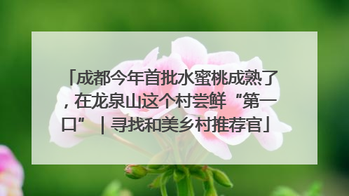 成都今年首批水蜜桃成熟了，在龙泉山这个村尝鲜“第一口”｜寻找和美乡村推荐官