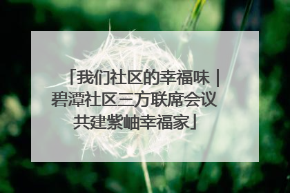 我们社区的幸福味｜碧潭社区三方联席会议共建紫岫幸福家