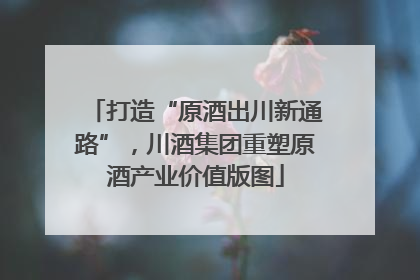打造“原酒出川新通路”，川酒集团重塑原酒产业价值版图