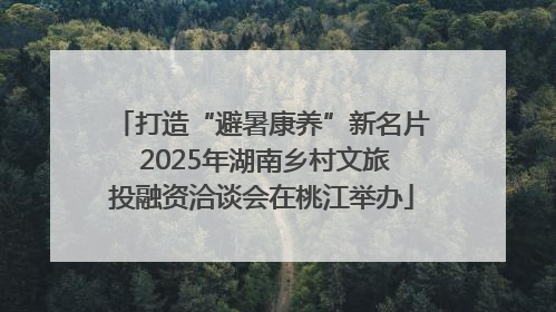 打造“避暑康养”新名片 2025年湖南乡村文旅投融资洽谈会在桃江举办