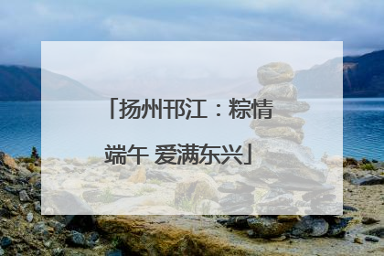 扬州邗江：粽情端午 爱满东兴