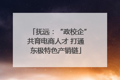 抚远：“政校企”共育电商人才 打通东极特色产销链