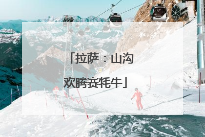 拉萨：山沟欢腾赛牦牛