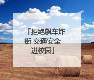 拒绝飙车炸街 交通安全进校园