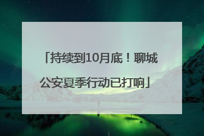 持续到10月底！聊城公安夏季行动已打响