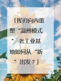 挥刃向内重塑“温州模式” 老工业基地如何从“新”出发？